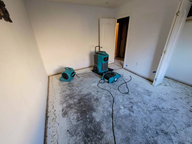 Best Fire Damage Restoration  in Wilson, AR