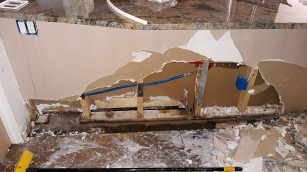 Water damage restoration mold remediation in Wilson, AR