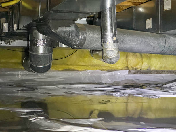 Best Flood restoration services  in Wilson, AR