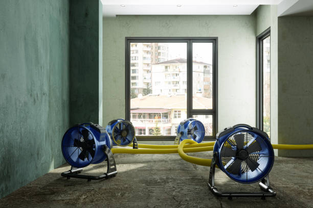 Trusted Wilson, AR Water damage restoration Experts